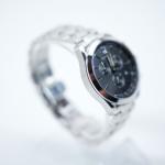 Ceas Philip Watch R8273995025