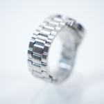 Ceas Philip Watch R8273995025