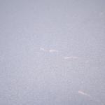 Consola Playstation 4 Pro 1TB