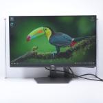Monitor Dell S2421NX FullHD, 75Hz, 4ms, IPS