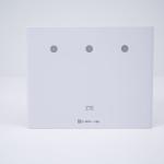 Router ZTE MF296C