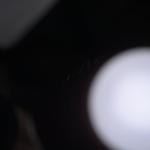 Tableta Samsung Galaxy Tab S9 FE 128GB Wi-Fi